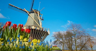 International moving services to Holland